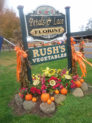 Produce Market «Rush Vegetables», reviews and photos, 2120 Eagle Harbor Waterport Rd, Albion, NY 14411, USA