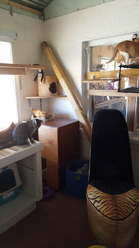 Thrift Store «Alpine Humane Society Thrift Store», reviews and photos, 706 N 5th St, Alpine, TX 79830, USA