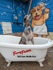 Furry Fadez Pet Grooming