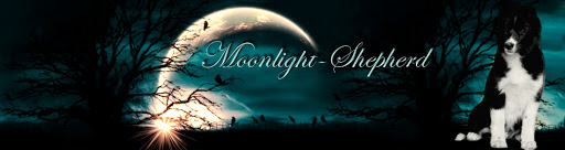 Moonlight-Shepherd Border Collie Kennel