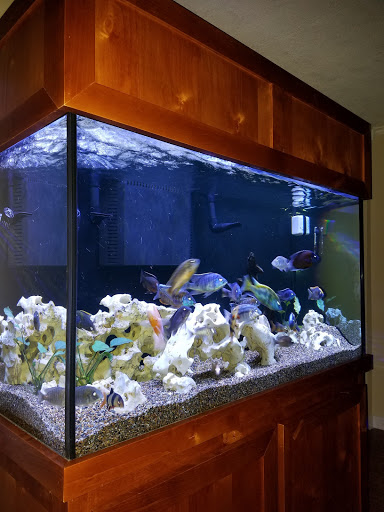 Tropical Fish Store «Glass Aquatics», reviews and photos, 542 W Harwood Rd, Hurst, TX 76054, USA
