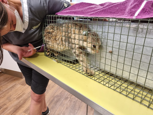 Tierarztpraxis Dr. Jessica Höch unter Mühlhausen, Thüringen