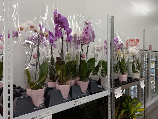 Warehouse club «BJ’s Wholesale Club», reviews and photos, 1800 Dunlawton Ave, Port Orange, FL 32127, USA