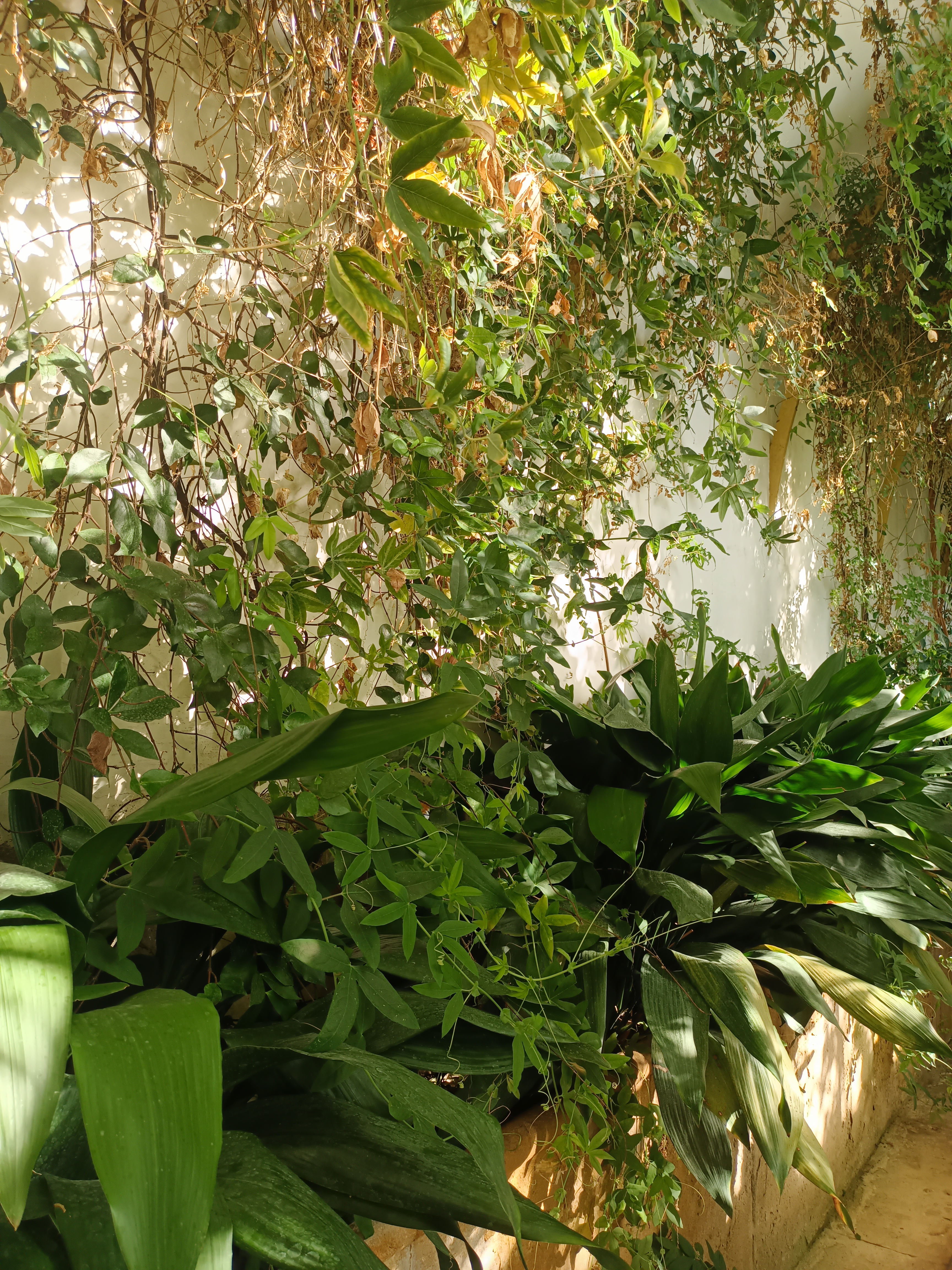 Photo n° 8 de l'avis de Alexandra.o fait le 24/10/2022 à 18:44