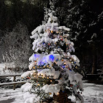 Photo n°10 de l'avis de Paolo.i fait le 07/01/2024 à 14:05 sur le  Ristorante Pizzeria Al Mulino à Ponte di Legno