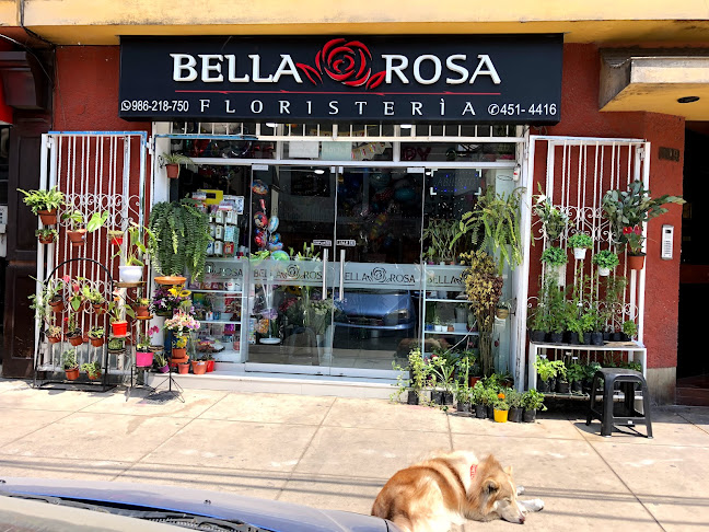 Floristería Bella Rosa