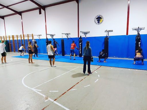 Cancha Hércules en Icod de los Vinos, Santa Cruz de Tenerife