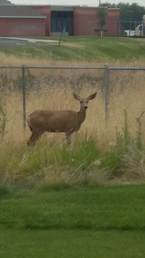 Golf Course «Oquirrh Hills Golf Course», reviews and photos, 1255 E Vine St, Tooele, UT 84074, USA