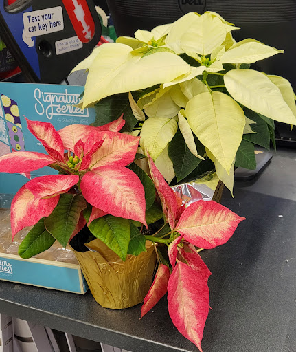 Hardware Store «Laurel Ace Hardware», reviews and photos, 4024 MacArthur Blvd, Oakland, CA 94619, USA