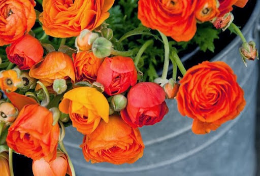 Florist «Flowers By Zoie», reviews and photos, 8112 Mechanicsville Turnpike, Mechanicsville, VA 23111, USA