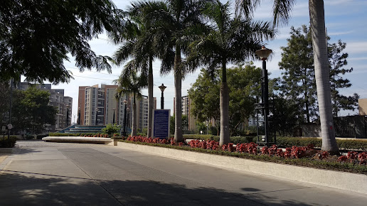 Google Maps image 19