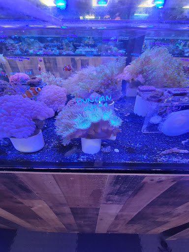 Tropical Fish Store «Saltwater Paradise», reviews and photos, 1313 W Airport Fwy, Irving, TX 75062, USA