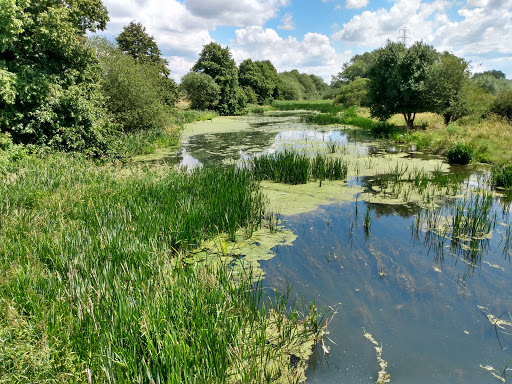 Becks Meadow Nature Reserve