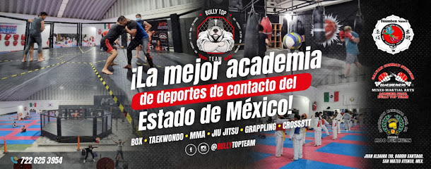 Bully Top Team - Juan Aldama 110, San Lucas, 52100 San Mateo Atenco, Méx., Mexico