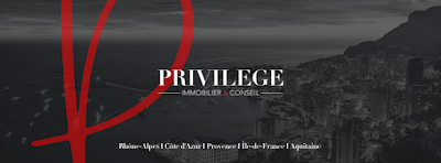 PRIVILEGE Immobilier & Conseil à Lyon