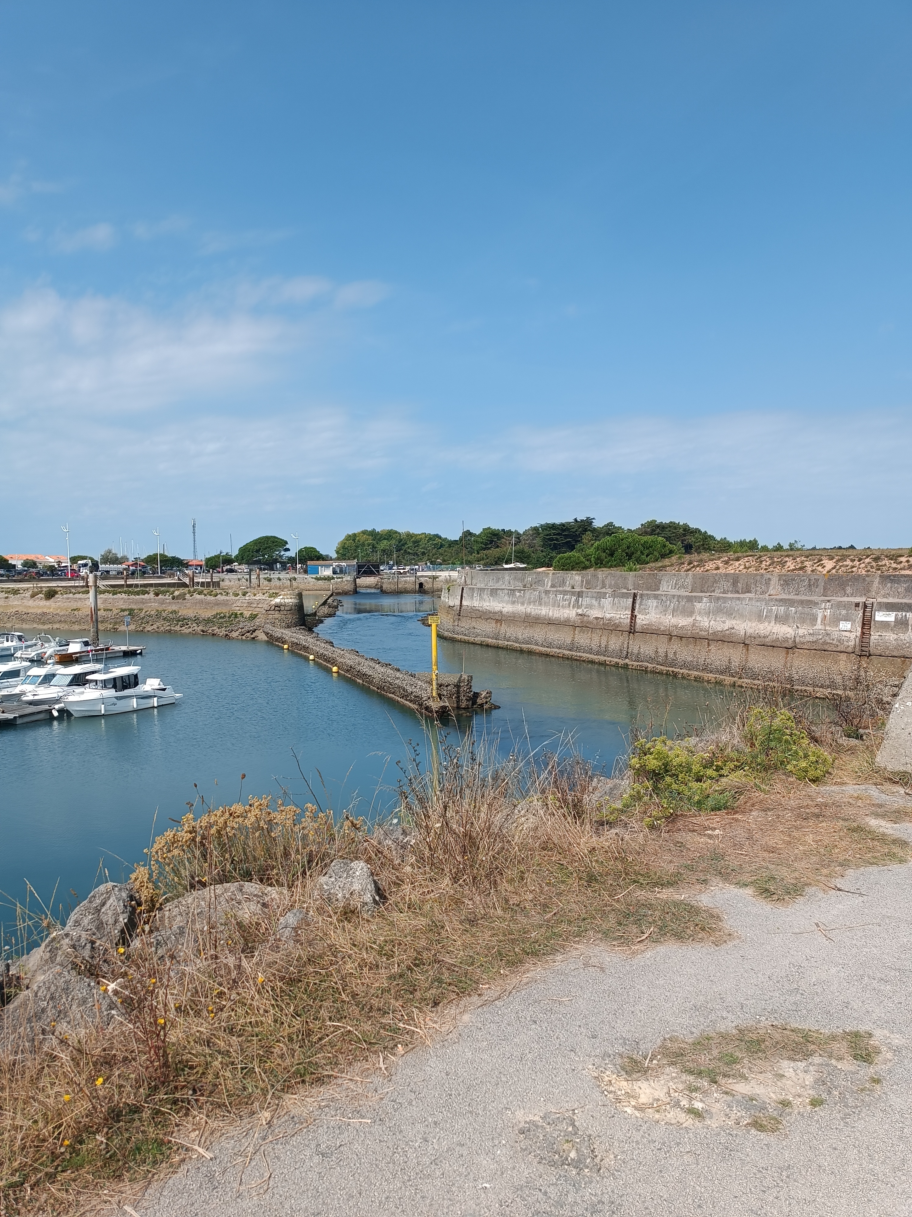 Photo n° 2 de l'avis de Bérénice.' fait le 20/08/2023 à 08:41