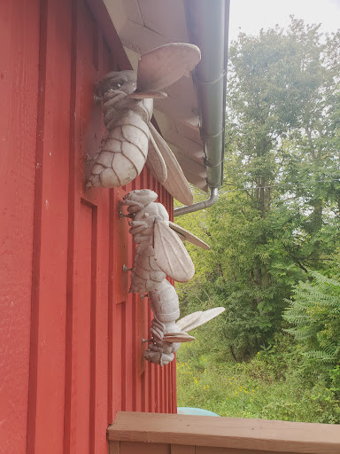 Nature Preserve «Cool Spring Preserve», reviews and photos, 1469 Lloyd Rd, Charles Town, WV 25414, USA