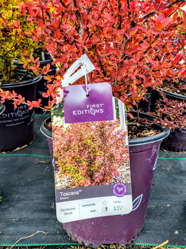 Florist «Pletschers», reviews and photos, 641 Old Hwy 8 SW, New Brighton, MN 55112, USA