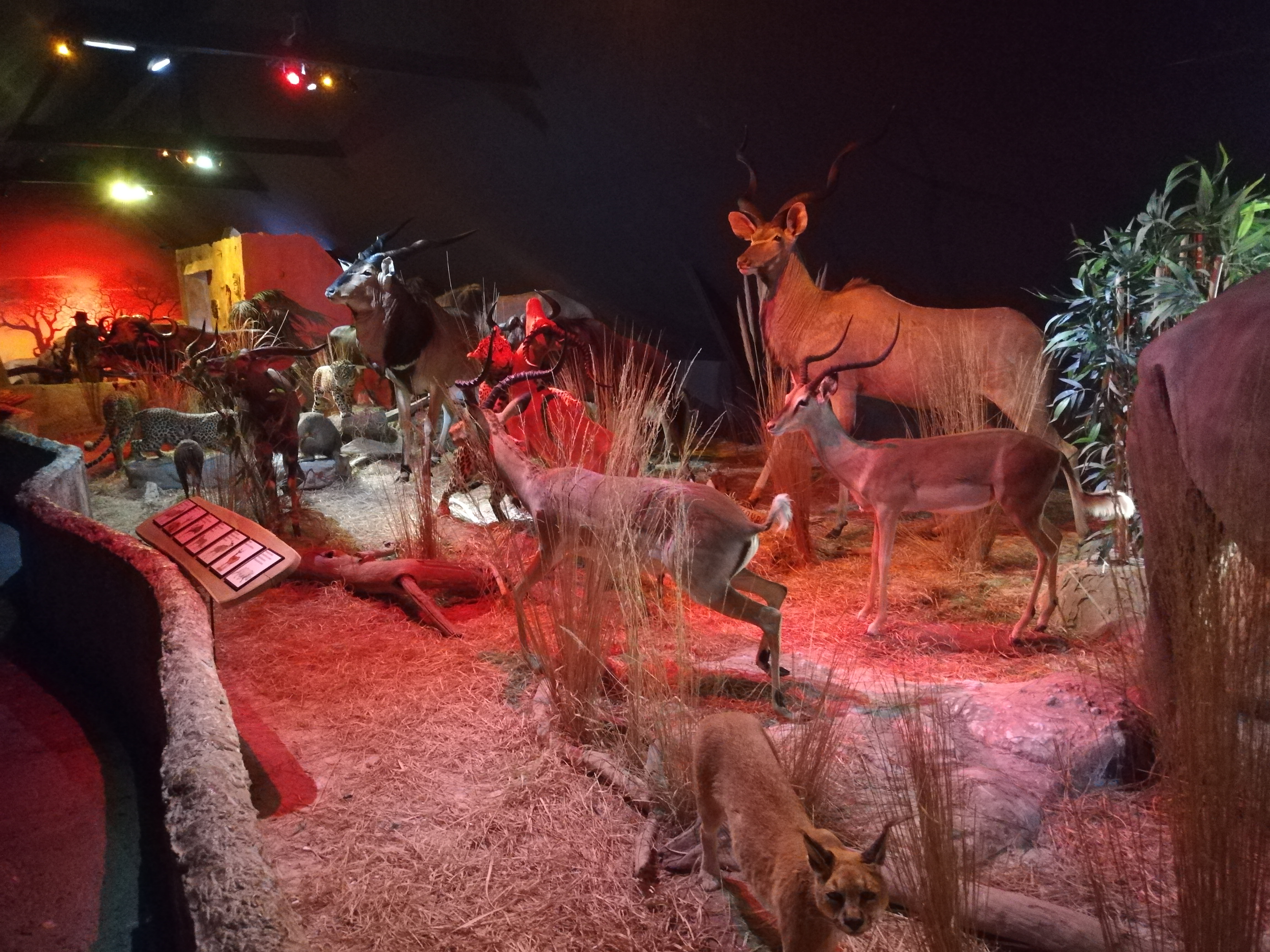 Photo n° 31 de l'avis de Soleil. fait le 20/08/2020 à 12:36