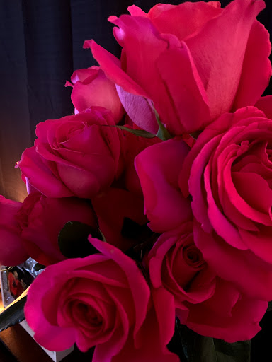 Florist «Flowers and Services», reviews and photos, 13750 Biscayne Blvd, North Miami Beach, FL 33181, USA