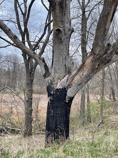 Nature Preserve «Leonard Preserve», reviews and photos, N Union St, Manchester, MI 48158, USA