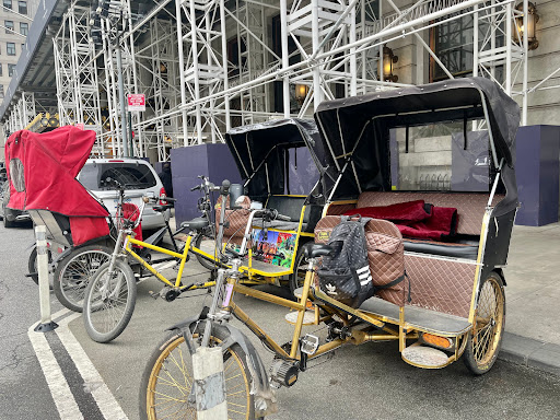 All Around Central Park Pedicab Tours image 2