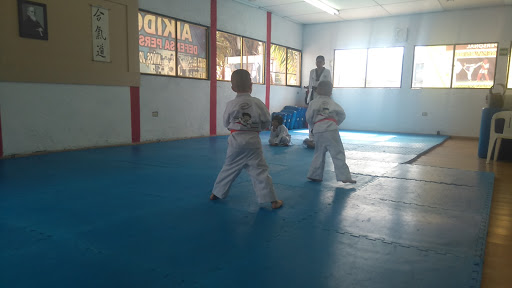 In Nae Tae Kwon Do