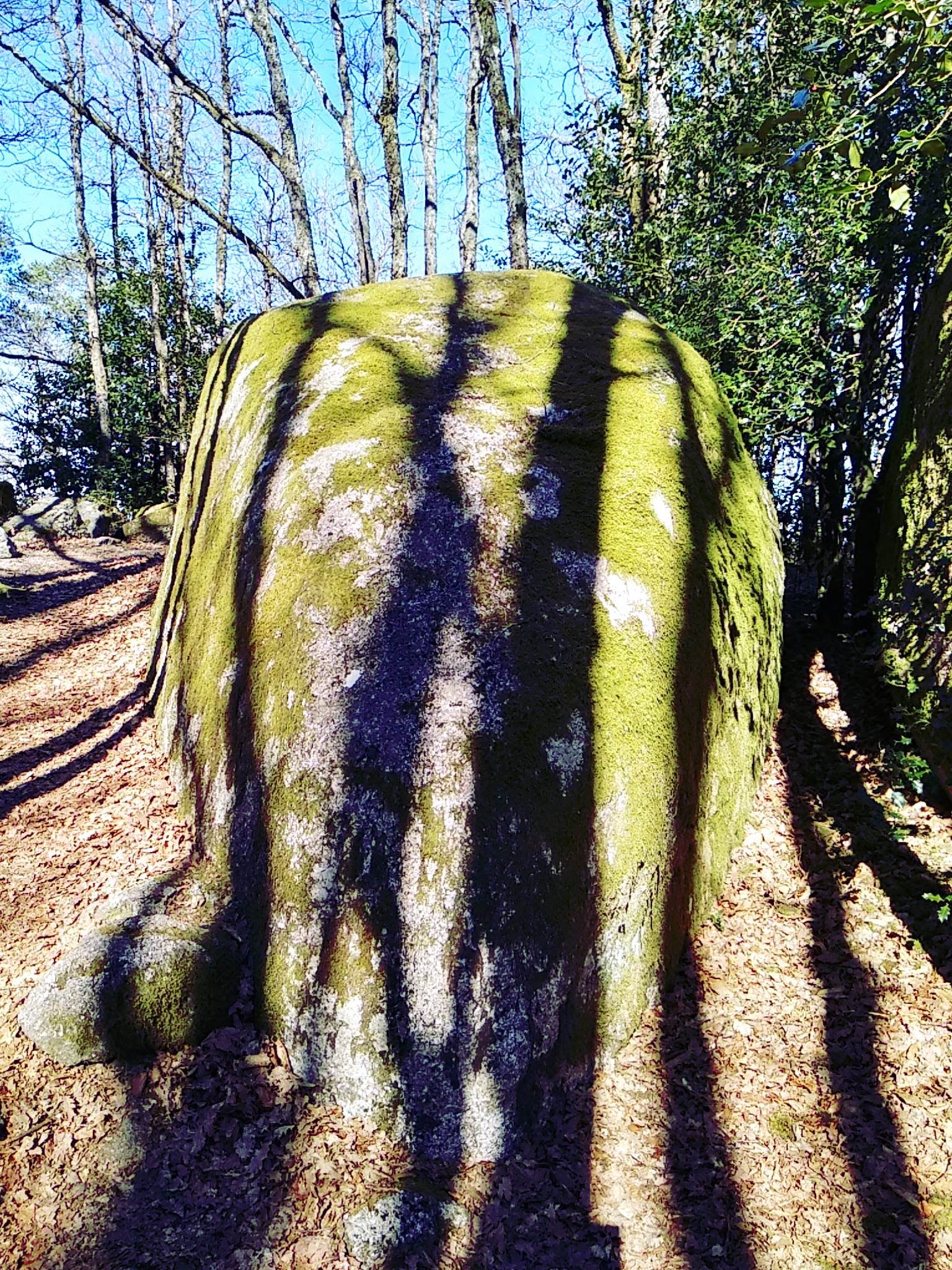 Photo n° 3 de l'avis de Tato-pougnet.a fait le 03/03/2019 à 17:49