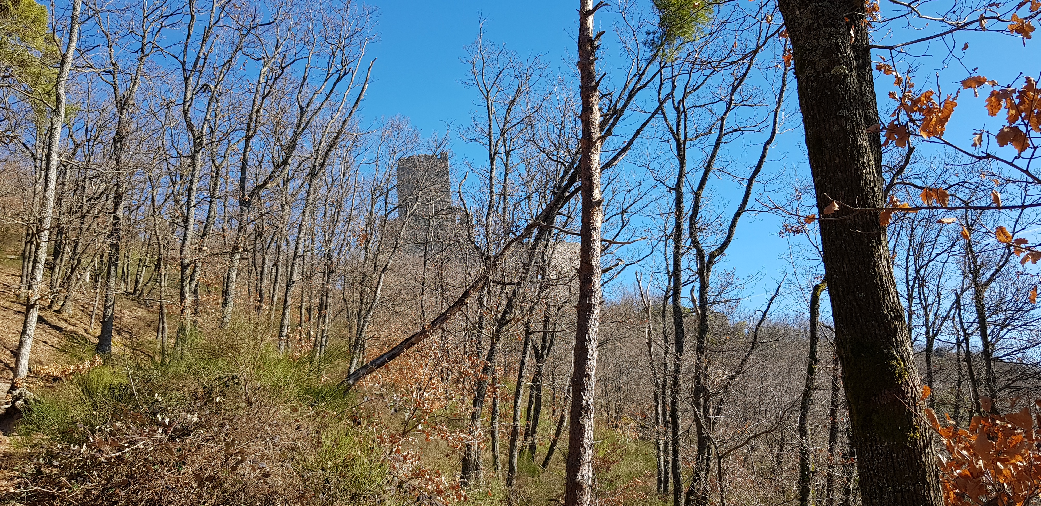 Photo n° 16 de l'avis de Denis.� fait le 21/02/2019 à 07:01