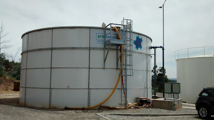 Planta Essbio Florida