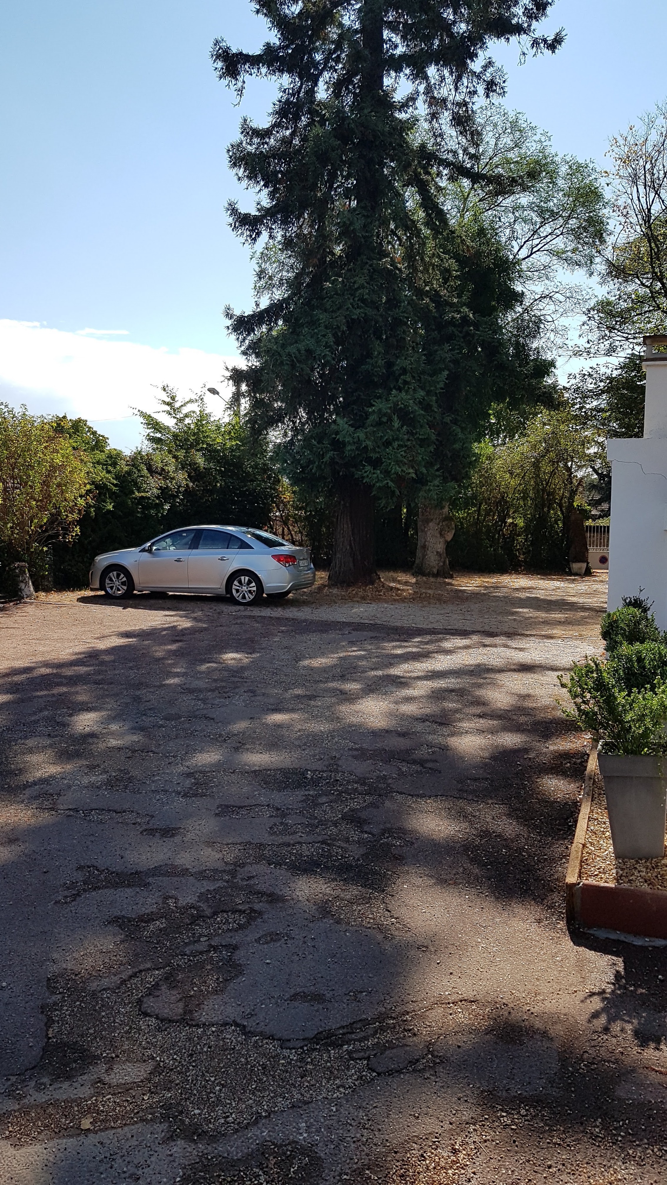 Photo n° 4 de l'avis de Schmaltz.a fait le 16/08/2020 à 11:56