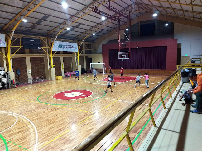 Opiniones de Gimnasio Polideportivo Colegio Hispano en Villa Alemana - Gimnasio