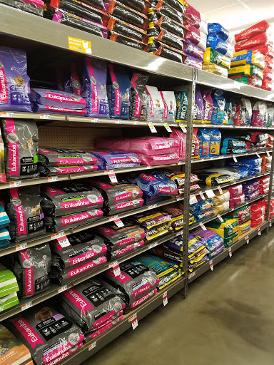 Pet Supply Store «Pet Supplies Plus», reviews and photos, 652 Edelweiss Village Pkwy, Gaylord, MI 49735, USA