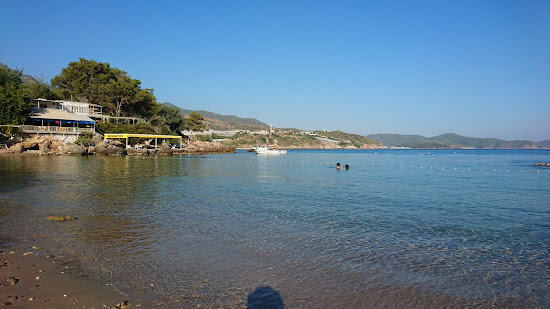 Toslaklar Koyu