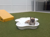 PetSuites Westlake - Photo 3 - Car repair in Westlake, OH, Cleveland