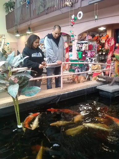 Pet Store «Pet Paradise Grooming», reviews and photos, 1115 Pueblo Blvd Way, Pueblo, CO 81005, USA