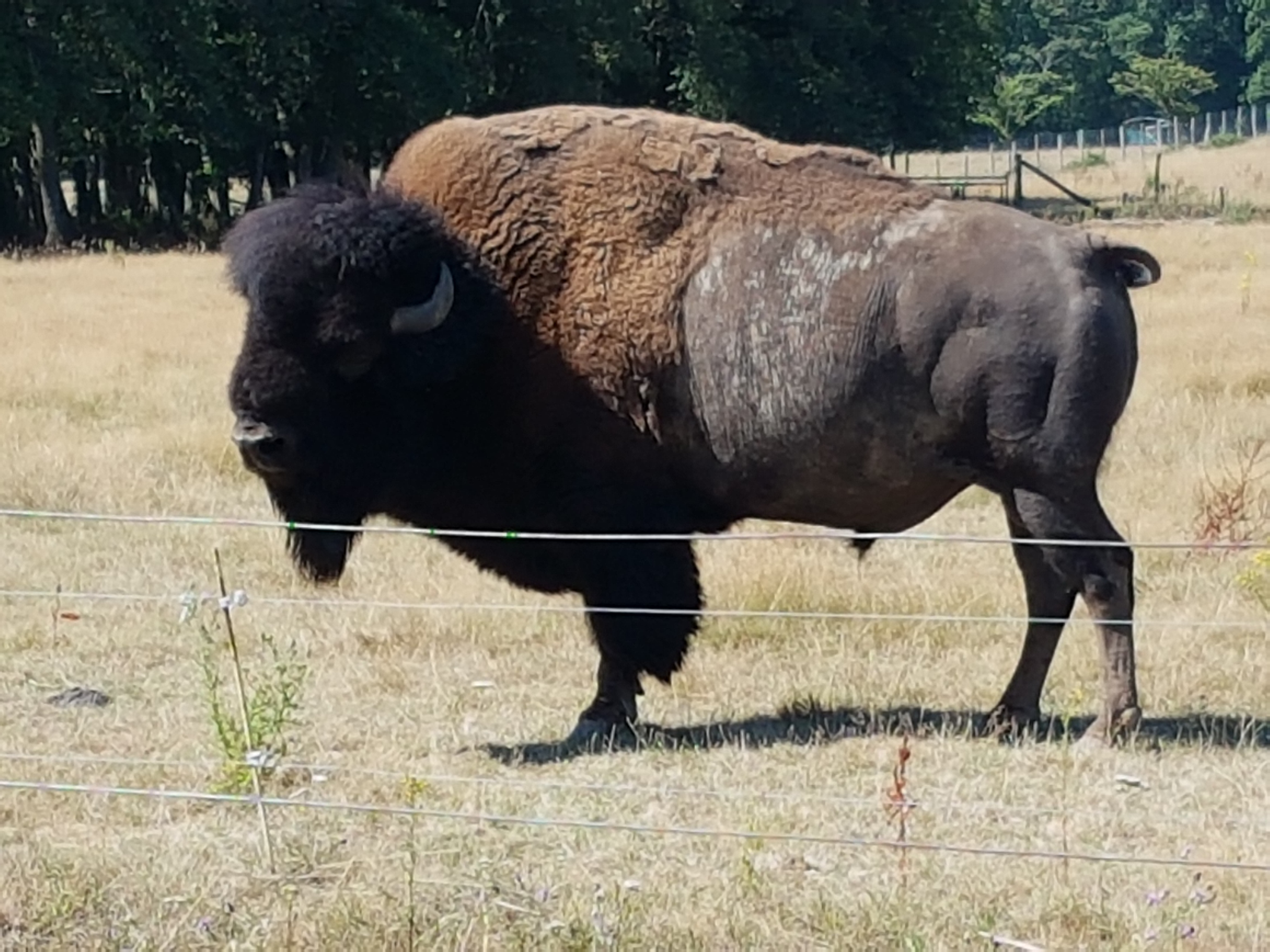 Photo n° 2 de l'avis de Antoine.u fait le 28/08/2018 à 20:48