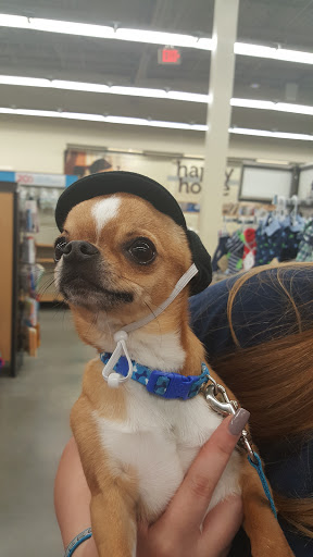 Pet Supply Store «Petco Animal Supplies», reviews and photos, 7303 Pinnacle Pkwy, Covington, LA 70433, USA