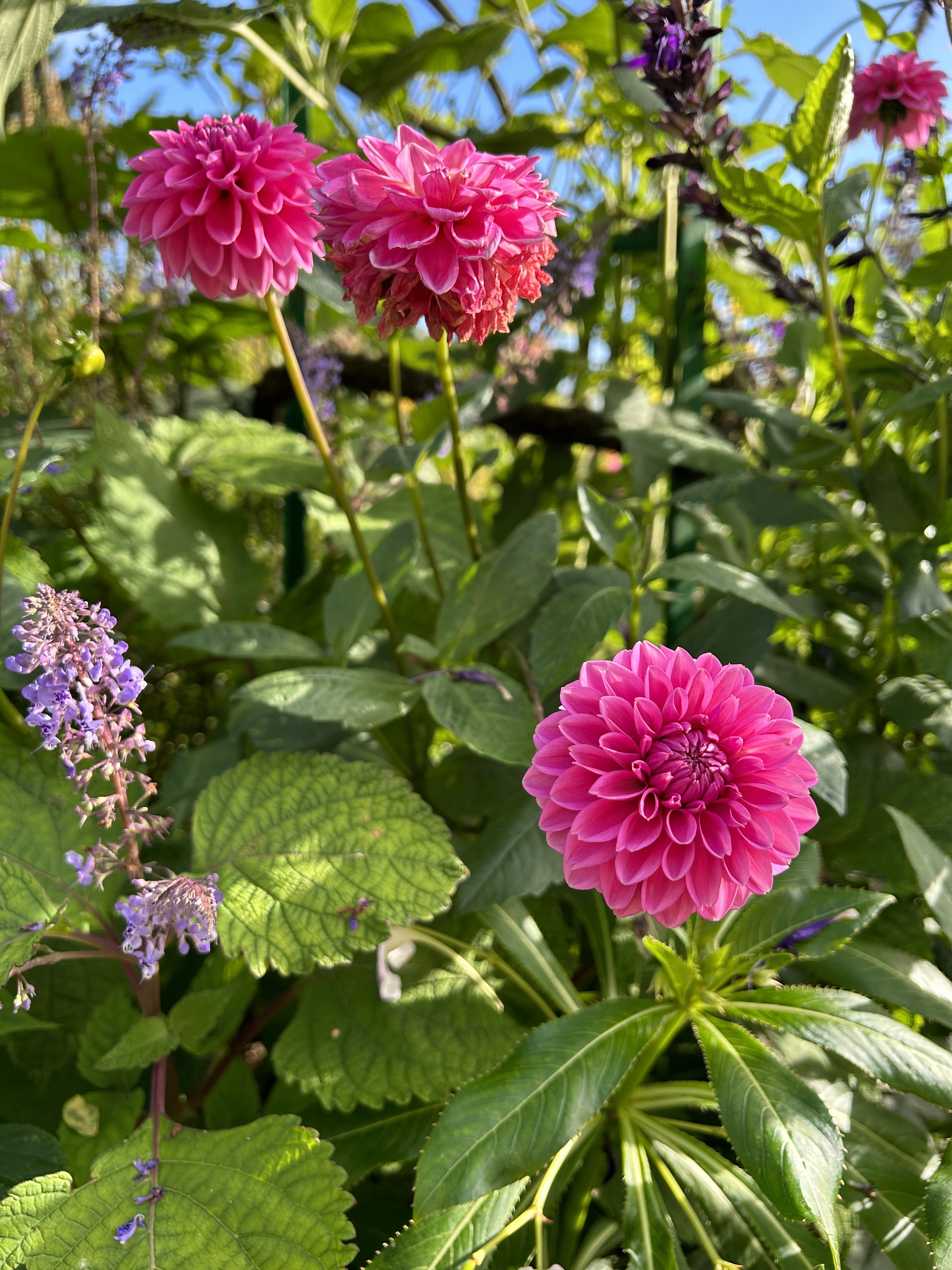 Photo n° 3 de l'avis de Justine.u fait le 12/10/2023 à 09:28