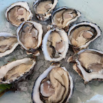 Photo n°2 de l'avis de Sergio.o fait le 10/11/2022 à 16:07 sur le  Canarin à Porto Tolle