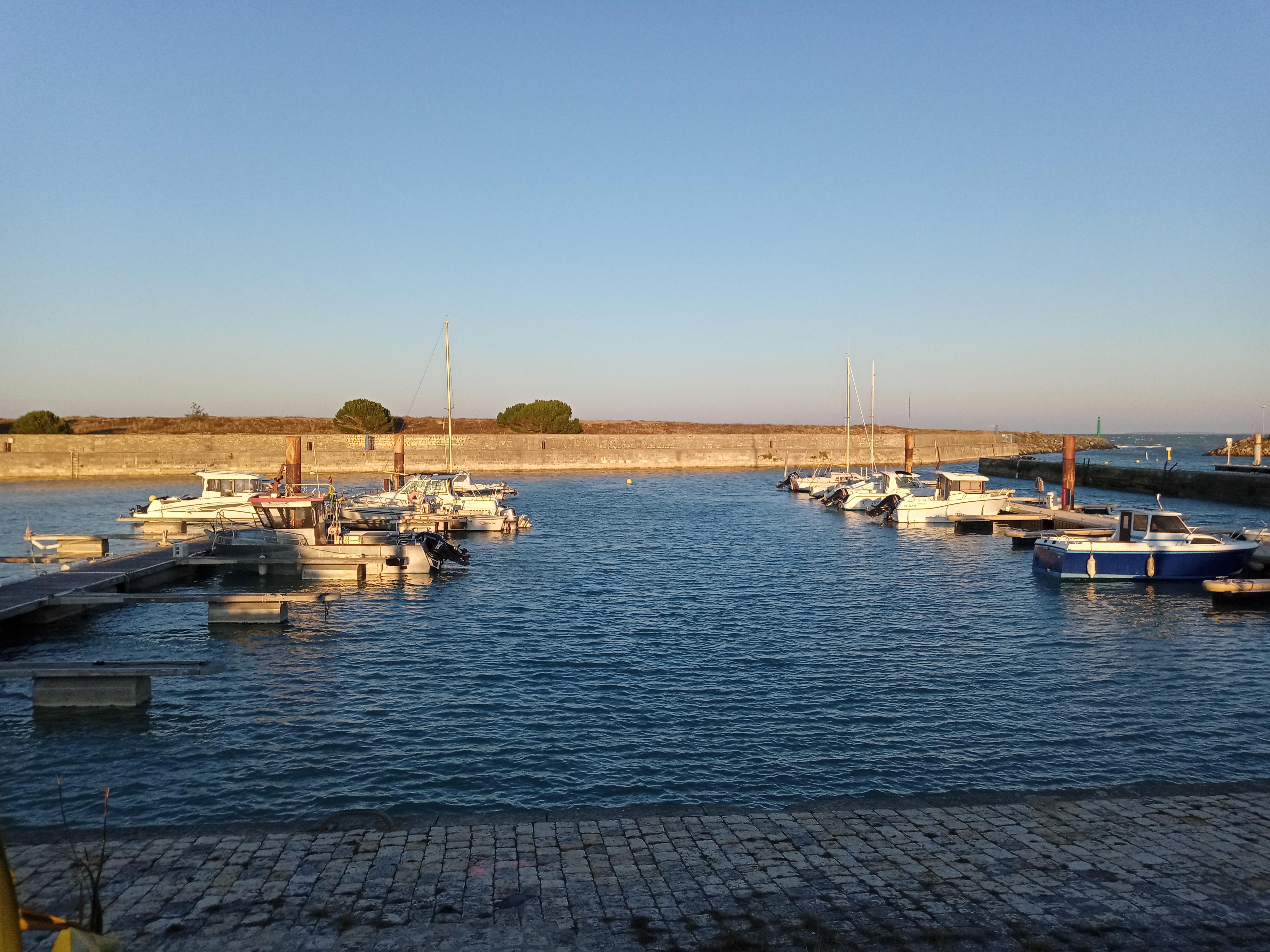 Photo n° 6 de l'avis de Muriel.F fait le 29/11/2020 à 16:13
