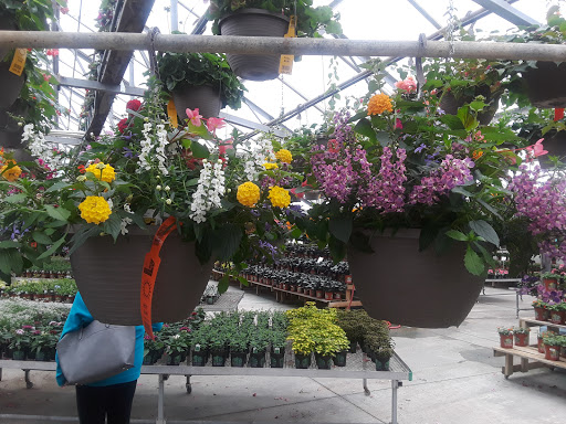 Typical flower shops in Cincinnati