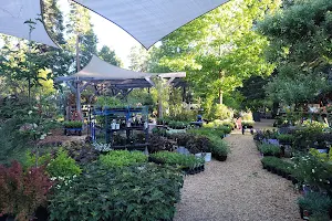 Spring Hill Nursery & Gardens image