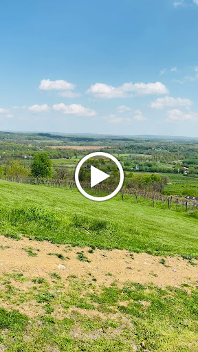 Winery «Bluemont Vineyard», reviews and photos, 18755 Foggy Bottom Rd, Bluemont, VA 20135, USA