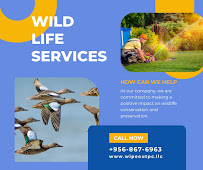 Wipe-Out Pest Control LLC - Photo 9 - Car repair in , McAllen