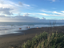 Foto von Fitzroy Beach mit sehr sauber Sauberkeitsgrad