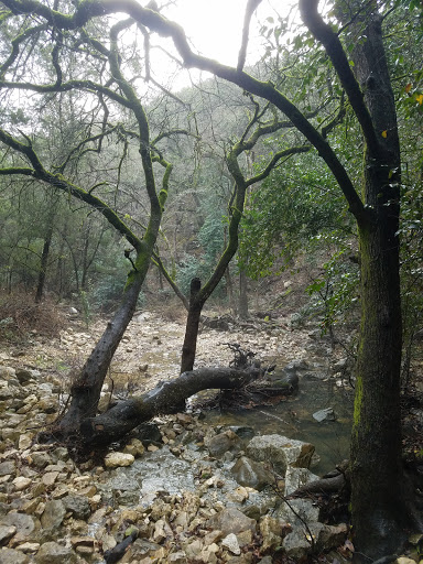 Gaines Creek and Twin Falls Access Point of Barton Creek Greenbelt