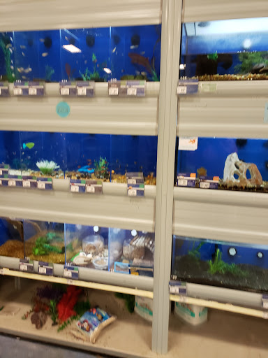 Pet Supply Store «PetSmart», reviews and photos, 12142 Jefferson Ave, Newport News, VA 23602, USA