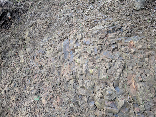 Park «Duwamish Hill Preserve», reviews and photos, 3800 S 115th St, Tukwila, WA 98168, USA