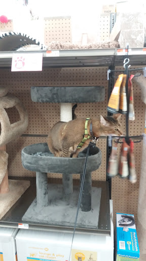 Pet Supply Store «Pet Supplies Plus», reviews and photos, 4121 Buffalo Rd, Erie, PA 16510, USA